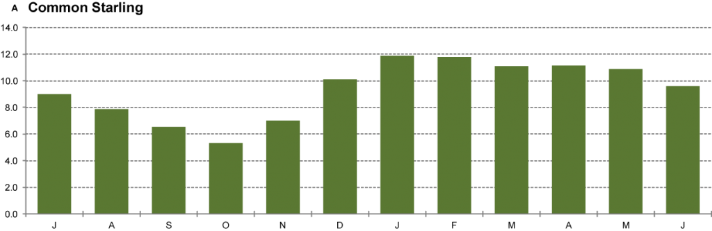 Common Starling Monthly Abundance Graph