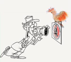photographer-graphic-2